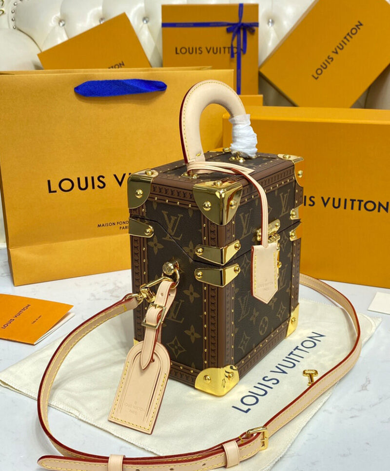 Louis Vuitton Camera Box M10079 Brown
